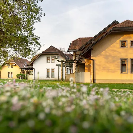 Terme - Hotelsko Naselje Zeleni Gaj 3* Banovci